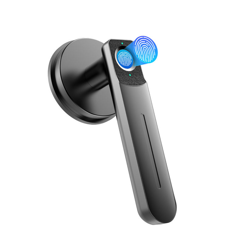 Cerradura de puerta con huella digital inteligente C01, cerradura de puerta sin llave con mango, cerradura de puerta biométrica